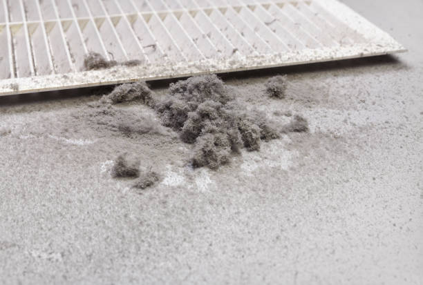 Best Air Duct Cleaning Near Me  in Round Rock, TX